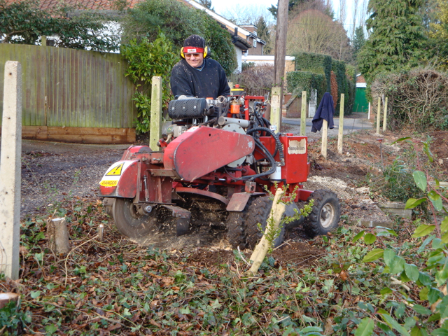 stump grinding service