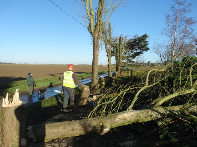 garden clearance