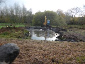 lake pond excavation